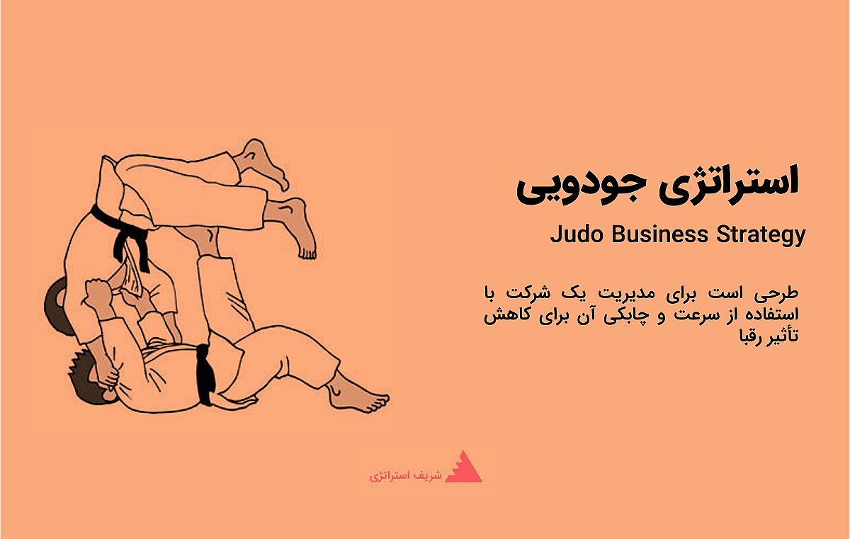 استراتژی جودویی چیست؟